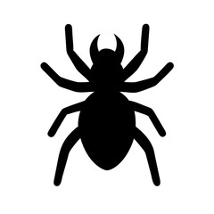Spider: Intriguing Arachnids of Nature