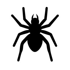 Spider: Intriguing Arachnids of Nature