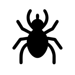 Spider: Intriguing Arachnids of Nature