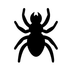 Spider: Intriguing Arachnids of Nature