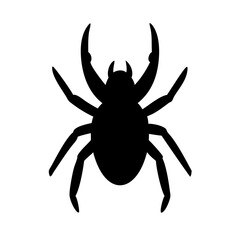 Spider: Intriguing Arachnids of Nature