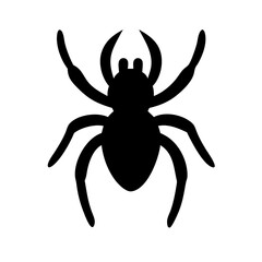 Spider: Intriguing Arachnids of Nature