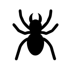Spider: Intriguing Arachnids of Nature