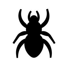 Spider: Intriguing Arachnids of Nature