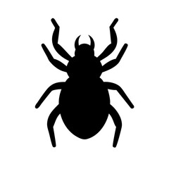 Spider: Intriguing Arachnids of Nature