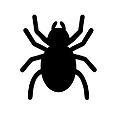 Spider: Intriguing Arachnids of Nature
