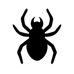 Spider: Intriguing Arachnids of Nature