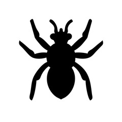 Spider: Intriguing Arachnids of Nature