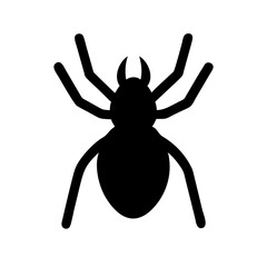 Spider: Intriguing Arachnids of Nature