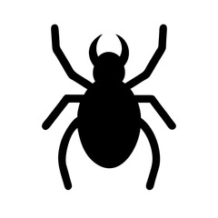 Spider: Intriguing Arachnids of Nature