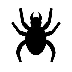 Spider: Intriguing Arachnids of Nature