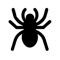 Spider: Intriguing Arachnids of Nature