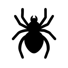 Spider: Intriguing Arachnids of Nature