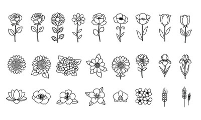 Line Art Floral Collection: Roses, Sunflowers, Tulips, & More