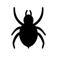 Spider: Intriguing Arachnids of Nature