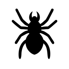 Obraz premium Spider: Intriguing Arachnids of Nature