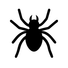 Spider: Intriguing Arachnids of Nature