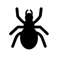 Spider: Intriguing Arachnids of Nature