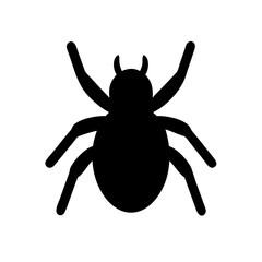 Spider: Intriguing Arachnids of Nature