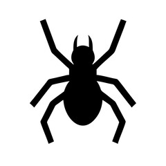 Spider: Intriguing Arachnids of Nature