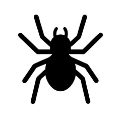 Spider: Intriguing Arachnids of Nature