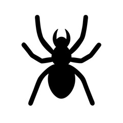 Spider: Intriguing Arachnids of Nature
