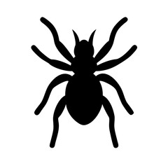 Spider: Intriguing Arachnids of Nature