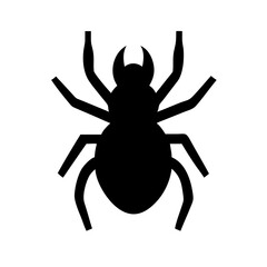 Spider: Intriguing Arachnids of Nature