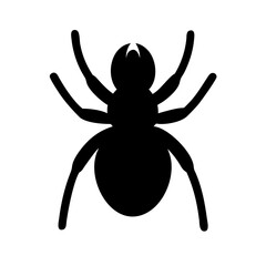 Spider: Intriguing Arachnids of Nature