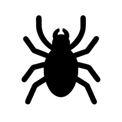 Spider: Intriguing Arachnids of Nature