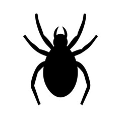 Spider: Intriguing Arachnids of Nature