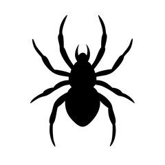 Spider: Intriguing Arachnids of Nature