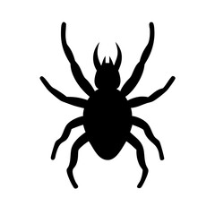 Spider: Intriguing Arachnids of Nature