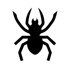 Spider: Intriguing Arachnids of Nature