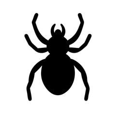 Spider: Intriguing Arachnids of Nature