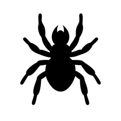 Spider: Intriguing Arachnids of Nature