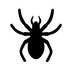 Spider: Intriguing Arachnids of Nature