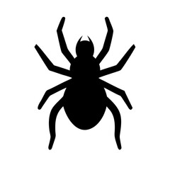 Spider: Intriguing Arachnids of Nature