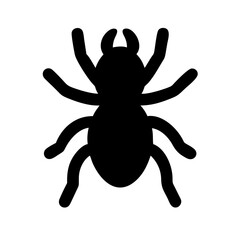 Spider: Intriguing Arachnids of Nature