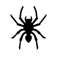 Spider: Intriguing Arachnids of Nature