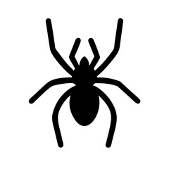 Spider: Intriguing Arachnids of Nature