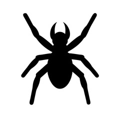 Spider: Intriguing Arachnids of Nature