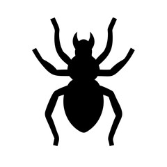 Spider: Intriguing Arachnids of Nature