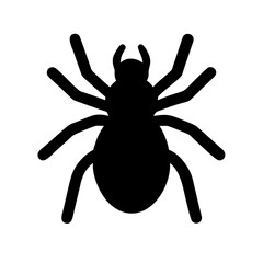 Spider: Intriguing Arachnids of Nature