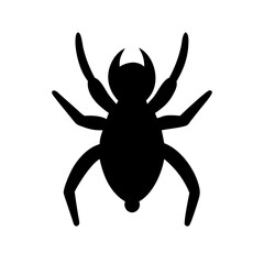 Spider: Intriguing Arachnids of Nature