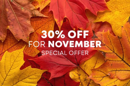 Autumn leaves background with 30 percent off for November special offer text in white