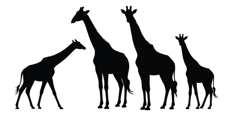 giraffe family silhouette illustration with varying heights in black on white, emphasizing long necks and distinct wildlife shapes in minimalist style