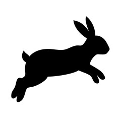 Jumping Rabbit: The Agile and Adorable Hopper