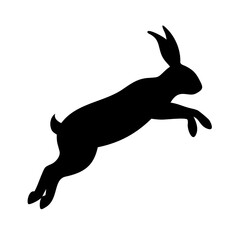 Jumping Rabbit: The Agile and Adorable Hopper