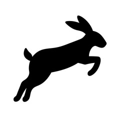 Jumping Rabbit: The Agile and Adorable Hopper